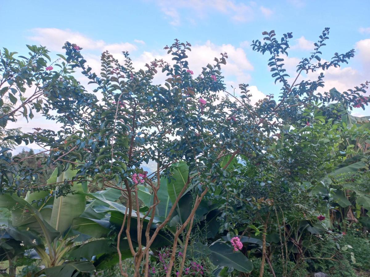 Homestay Hoang Vu Ha Giang Bagian luar foto